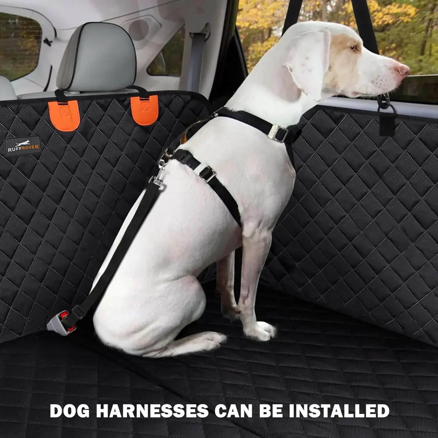 Dog Car Seat: Optimal Safety and Protection 