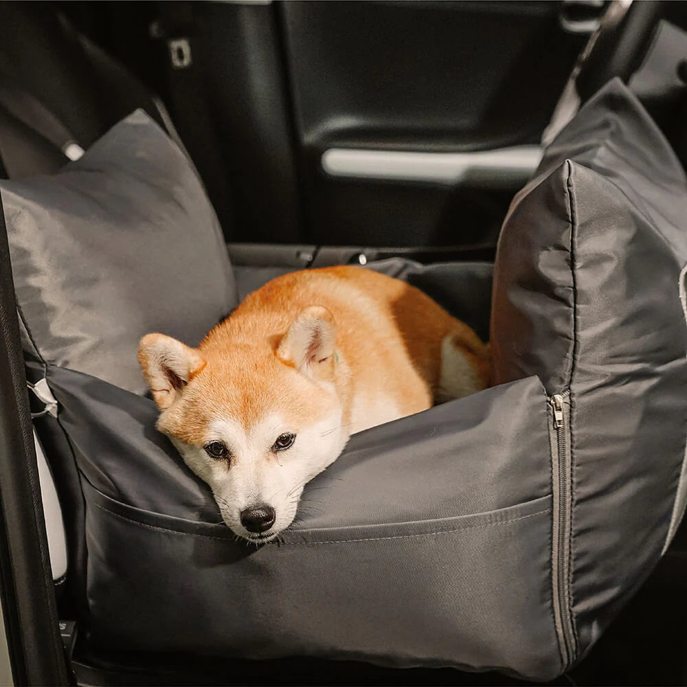 Hundebett für das Auto: Komfort und Sicherheit auf Reisen 